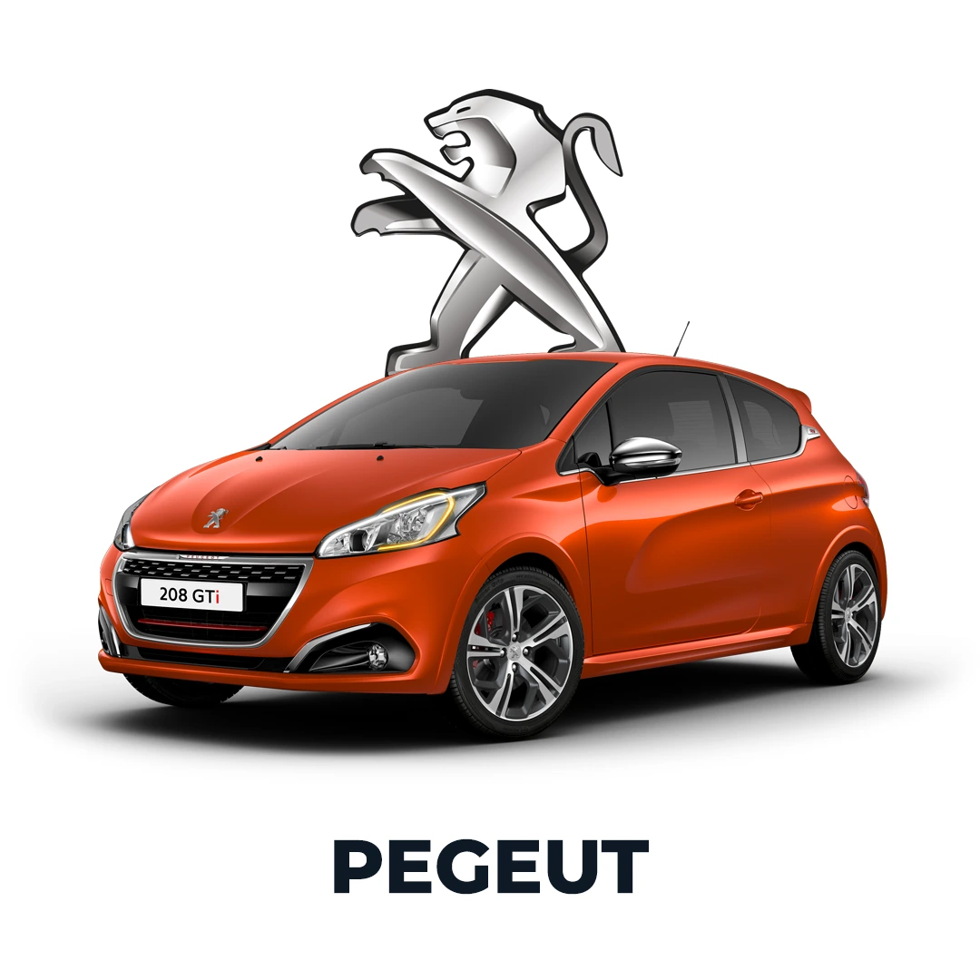 [Webp] Pegeut - Zocatelli Assessoria